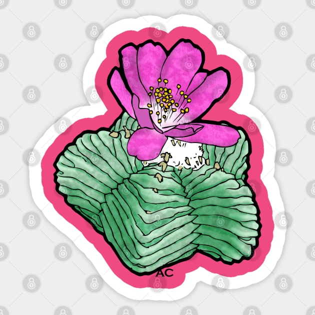 AZTEKIUM SP. By AgaCactus (Variant) Sticker by AgaCactus